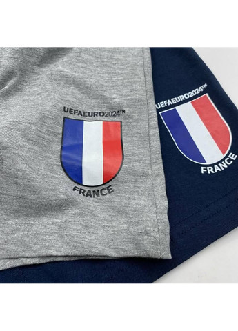 Набір чоловічих трусів боксерів Livergy боксери (349817956)