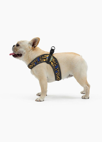 Шлея Comfort Молодежный XS обхват грудной клетки 33-39 см (2100103101012) Hi Dog (332878956)