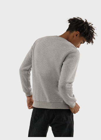 Серый свитшот мужской цвет серый cb-00227284 MyS (309016090)