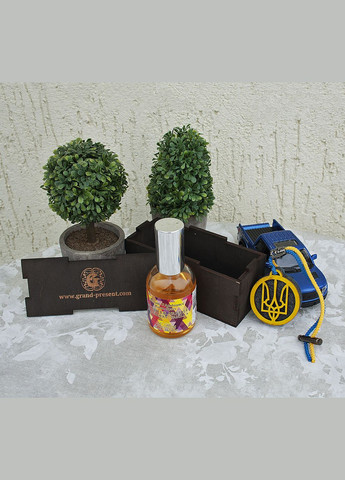 Комплект під ароматизатор 12*5*5 см (23) Гранд Презент (282841200)