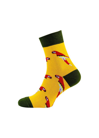 Жовті набір (5 шт) чоловічих шкарпеток MZ (302739655)