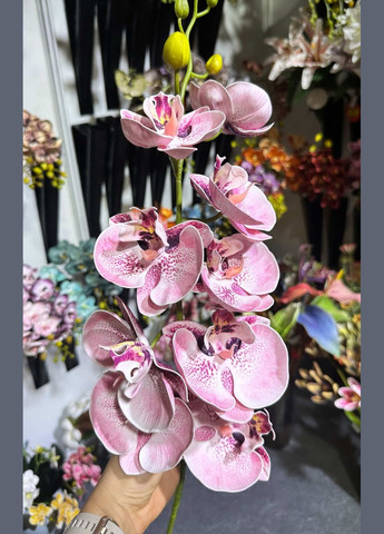 Декоративная Орхидея из латекса (9 цветов) 15*103см No Brand (315638222)