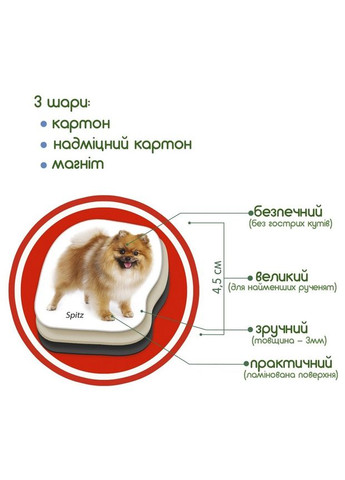 Детский развивающий набор магнитов "Породы собак" ML4031-20EN 24 фотомагниты MAGDUM (334157680)