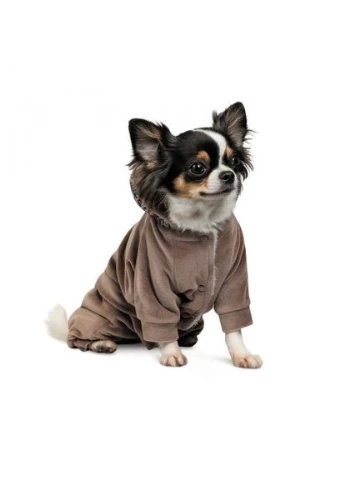 Костюм «Soft» для собак, розмір XS2, коричневий (лімітована серія) Pet Fashion (364359610)