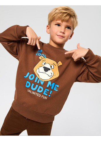 Sinsay світшот для хлопчика . малюнок коричневий повсякденний трикотаж