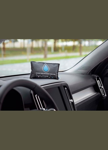 Влагопоглотитель автомобильный 2 шт. х 300 г Bison (317353450)