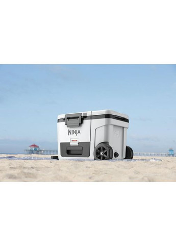 Термобокс FrostVault 42L Hard Coole (FB245EUWH) Ninja (332613713)