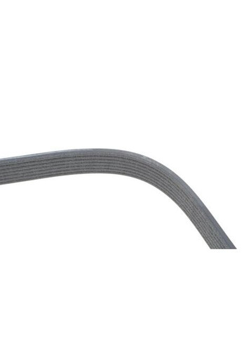 Ремінь поліклиновий NISSAN MICRA 1.20 /2010- 7PK1165S-ua Dayco (366122232)