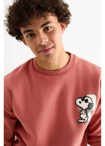 Теракотовий світшот C&A (366474017)