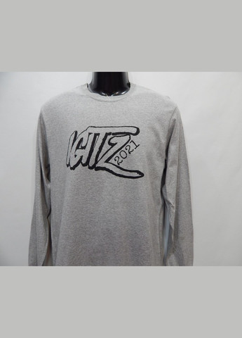 Футболка чоловіча з довгим рукавом р.48 026FMLN Gildan однотонний сірий повсякденні бавовна