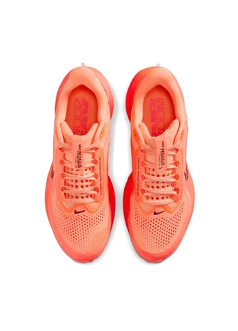 Кроссовки Pegasus Red HQ2593-802 Nike красные демисезоны (399369889)