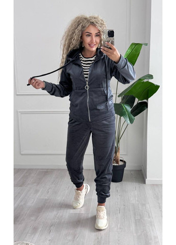 Спортивный костюм из велюра с капюшоном и змейкой. GD/GL Модний простір (360978720)