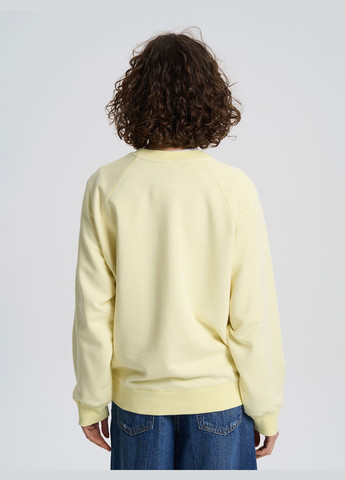 Светло-желтый свитшот женский укороченный светло-бежевого цвета тм роза Роза однотонный без декора (326024059)