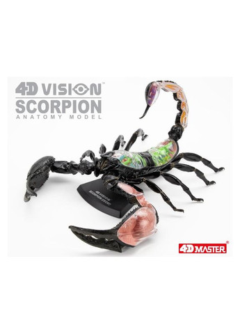 Об'ємна модель Скорпіон, 29 деталей () 4D Master FM-622033 (328394308)