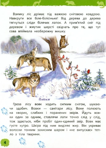 У лісі. Моя перша енциклопедія. Клюшник Л. No Brand (364956920)