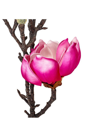 Магнолія "Фелісія", фіолетова, 70 см ELISEY (333986400)