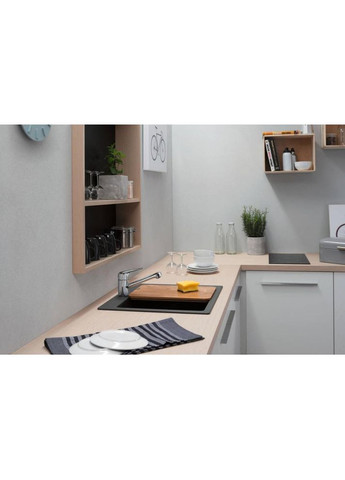 Смеситель для кухонной мойки Focus M42 71808000 Hansgrohe (314928213)