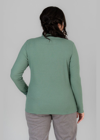 Зеленый демисезонный женский гольф приталенного кроя с воротником-стойкой all posa (ap101676p) A'll Posa