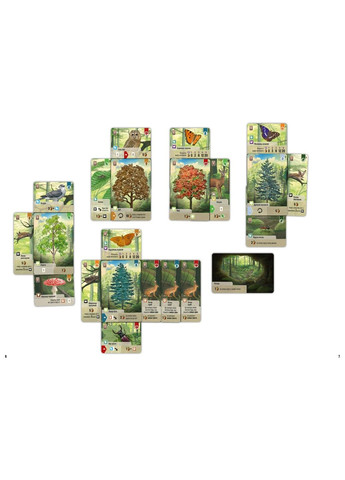 Лесная суматоха (Forest Shuffle) Lord of Boards (297982808)