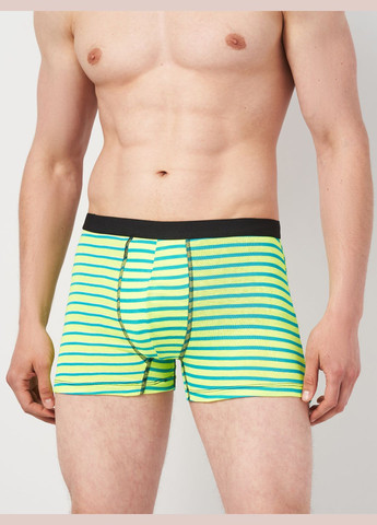 Труси (3шт) Basic Collection (295404416)