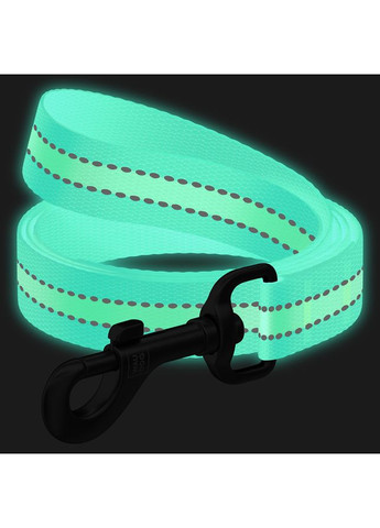 Поводок для собак WAUDOG Nylon голубой 15мм 122см нейлоновый световой для выгула животных ProDobro (373221547)