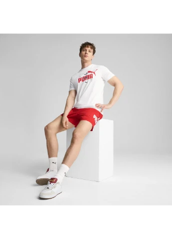Футболка Essentials Logo Lab Summer Tee Men Puma (317250140)
