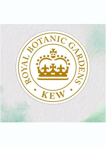 Шампунь Аромат троянди, 350 мл HERBAL ESSENCES 8700216211277 (328396785)