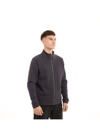 Чоловіча кофта демісезонна на блискавці темно-сіра Freedom (365754690)