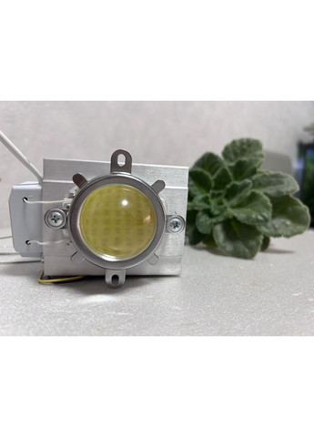 Фитолампа 50 Вт для роста растений с линзой 60 градусов, 40 000 К. Белый. No Brand (368704477)