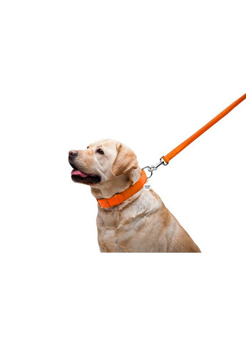 Поводок для собак кожаный WAUDOG Glamour 25мм 122см оранжевый для больших собак поводок для выгула ProDobro (373221256)