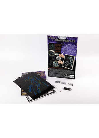 Алмазна вишивка "Закохані Сови" Diamond art часткова викладка мозаїка 5d набори 32,5х23,5 см No Brand (332208224)