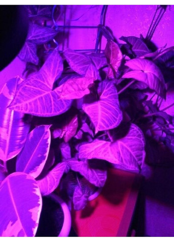 Фітолампа GR-5 із світильником-прищіпкою Greenhouse Full spectrum (371875540)