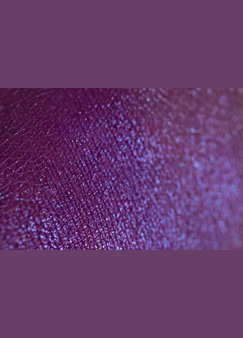 Тіні color exstasy ES012 - Насичений фіолетовий колір з блискітками мультихром, 4г PROVG (302227995)