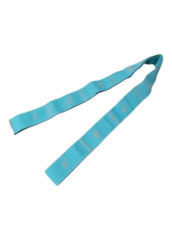 Эластичный ленточный эспандер сегментированный с 9 петлями WXF9 ГОЛУБОЙ SNS (315492805)