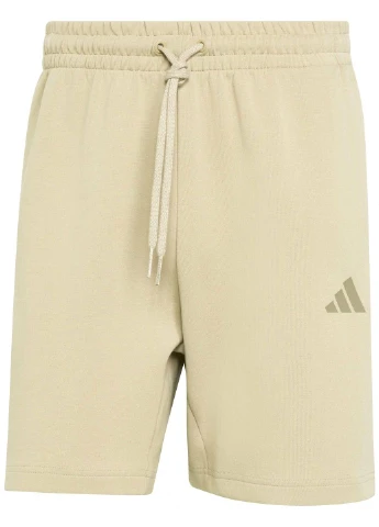 Шорты adidas Future Icons Small Logo Shorts (388304263)