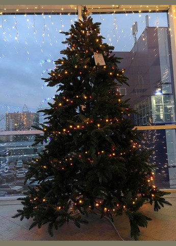 Ялина 2,30 м Abies Nordmann de Luxe зелена Triumph Tree (329407062)