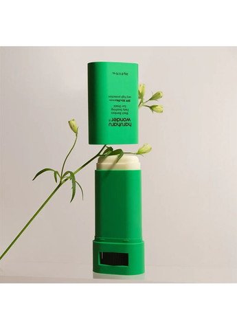 Сонцезахисний стік Black Bamboo Daily Soothing Sun Stick SPF50+ PA++++ 20 г HARUHARU (346493175)