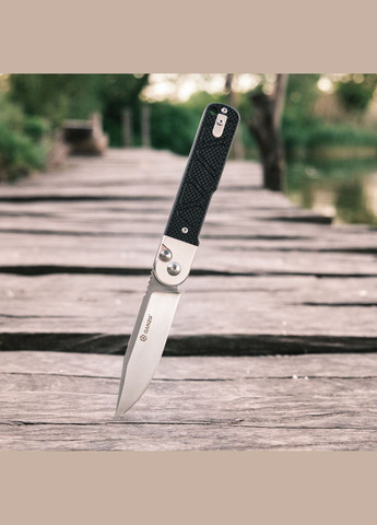Ніж складний G767Black Ganzo (322168031)