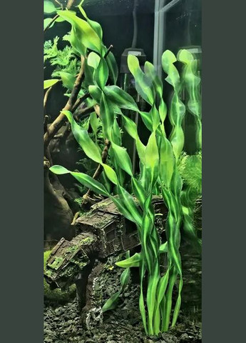 Растение пластиковое водоросли VALISNERIA вітая искусственное, Декорация для аквариума 30.5 см No Brand (333141140)