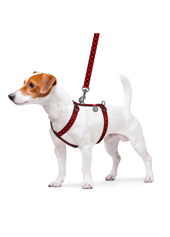 Шлея для собак анатомическая H-образная Nylon Шотландка пластиковый фастекс М Ш 20 мм А 40-70 В 50-80 WAUDOG (292175491)