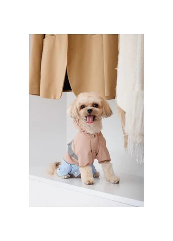 Дощовик Tina для дівчаток розмір S бежевий/блакитний Pet Fashion (333020554)