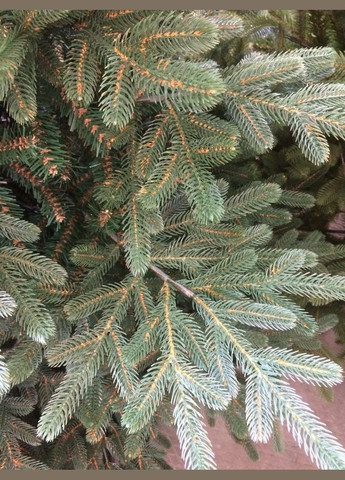 Искусственная литая елка YalynkyWorld Жозефина 120 см Kvazar (307501344)