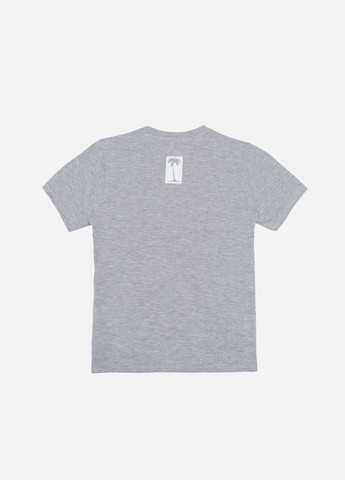 Серая летняя футболка с коротким рукавом для мальчика цвет серый цб-00243957 Essu