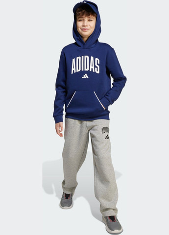 Серые спортивные демисезонные брюки adidas