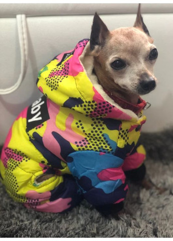 Комбинезон для собак Dogbaby XXL No Brand (362571948)