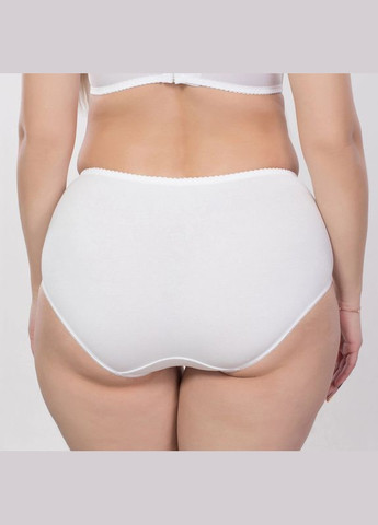 Хлопковые трусы Elita (302671808)