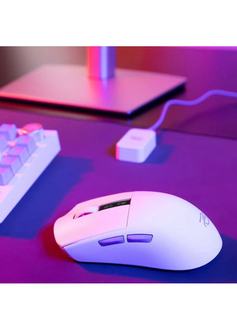 Беспроводная геймерская мышь Gaming Jester 8K 2.4GHz+USB+BT | Proove (368786203)