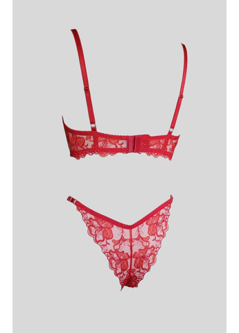 Красный демисезонный комплект женского белья Handmade Бюстгальтер з бразиліанами на регуляції