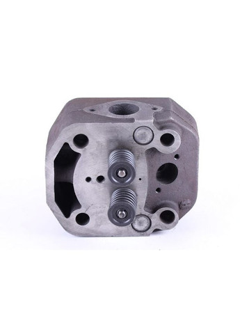 Головка цилиндра в сборе TTG на дизельный двигатель 195N/ZUBR, тип 2 Tata (365819662)