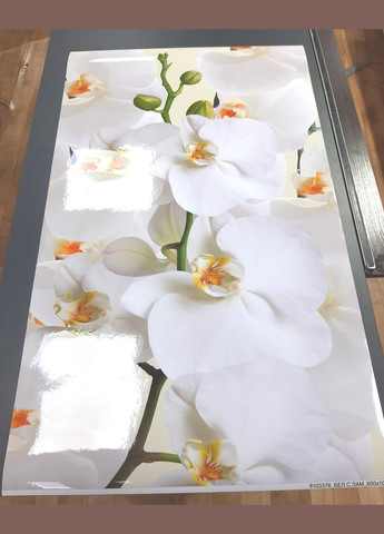 Покриття для столу 60 х 100 см, м'яке скло з фотодруком, Білі орхідеї (1 мм) (МСПБfl103376) Декоинт (278288923)